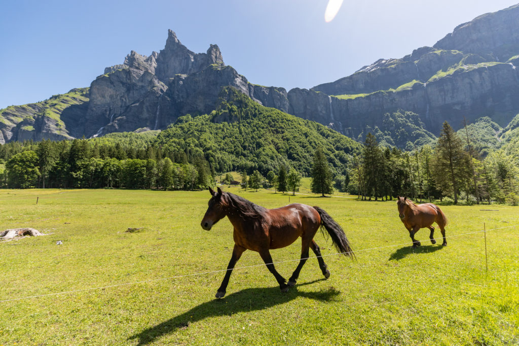 Le cirque du fer à cheval en randonnée équestre, à cheval