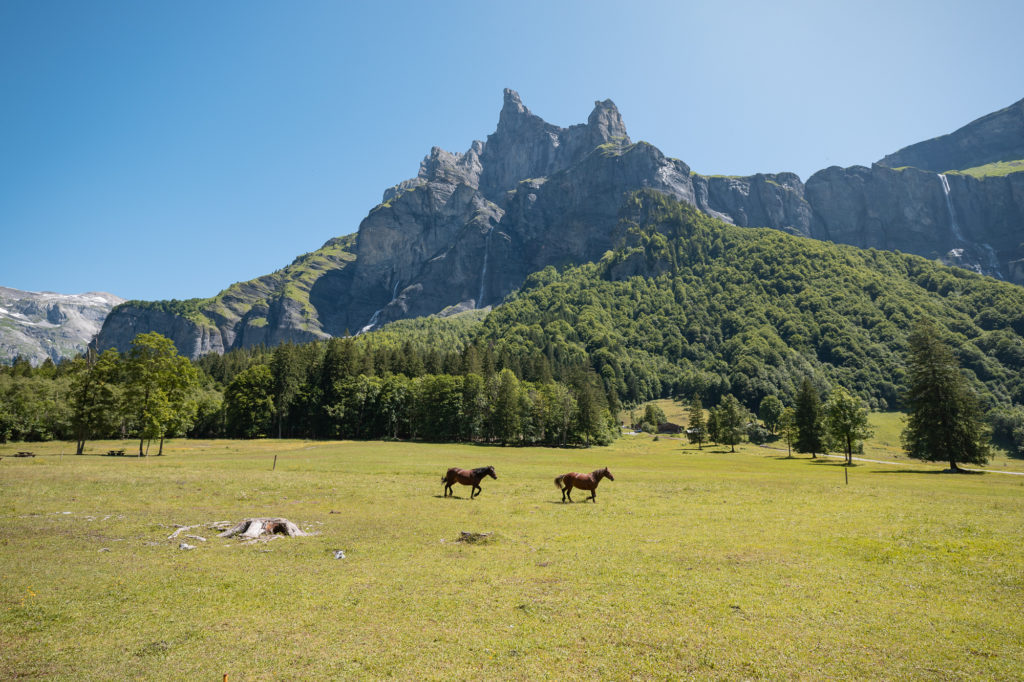 Randonnée équestre dans les montagnes du Giffre en Haute Savoie : jusqu'au cirque du Fer à Cheval à cheval. 