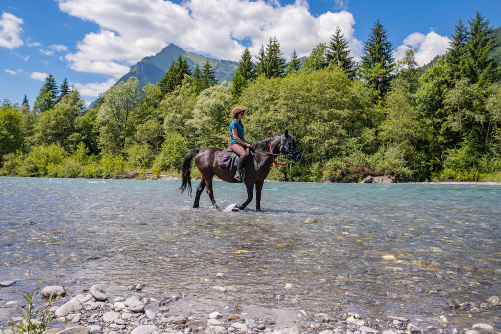 Randonnée équestre dans les montagnes du Giffre en Haute Savoie : jusqu'au cirque du Fer à Cheval à cheval. 