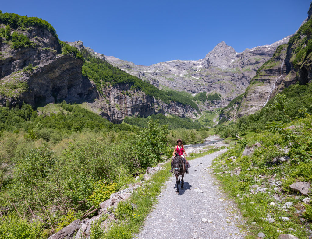 Randonnée équestre dans les montagnes du Giffre en Haute Savoie : jusqu'au cirque du Fer à Cheval à cheval. 