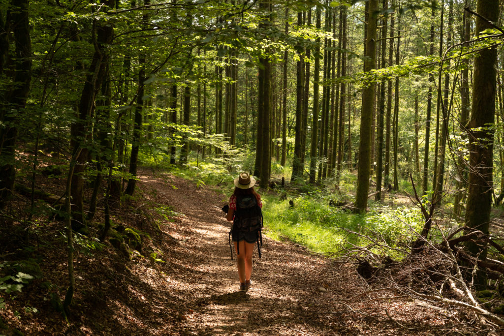 mille etangs vosges du sud