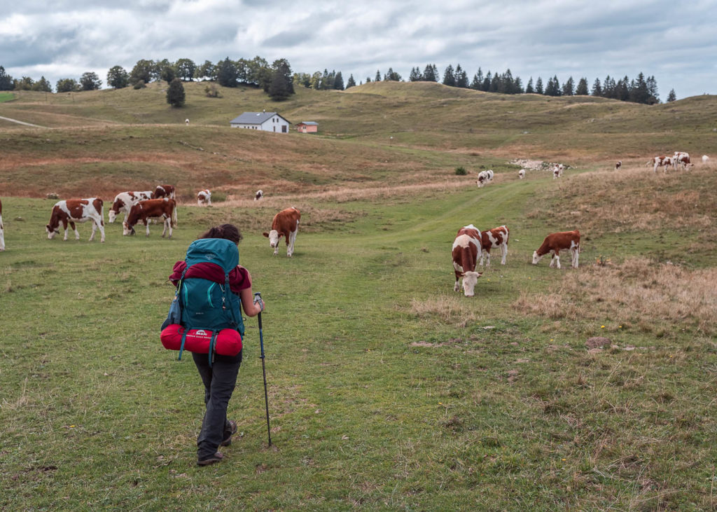 Trois jours de randonnée trek dans le Jura, en autonomie avec bivouac. Itinéraire de randonnée sur les crêtes du Jura autour de Lélex