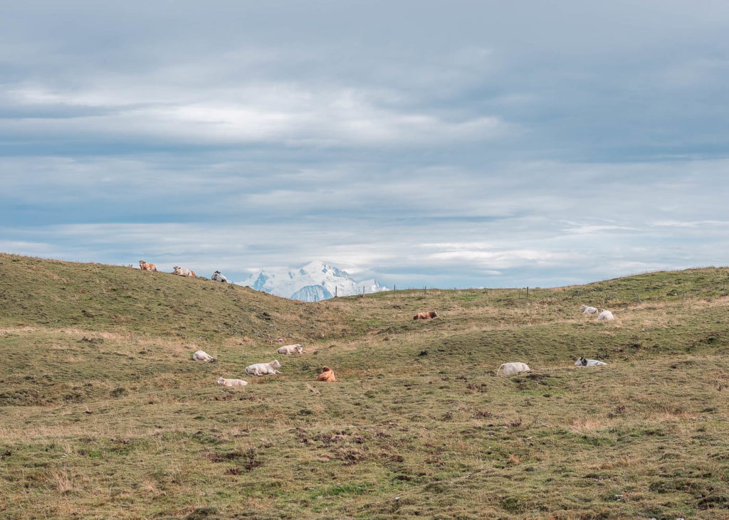 Trois jours de randonnée trek dans le Jura, en autonomie avec bivouac. Itinéraire de randonnée sur les crêtes du Jura autour de Lélex