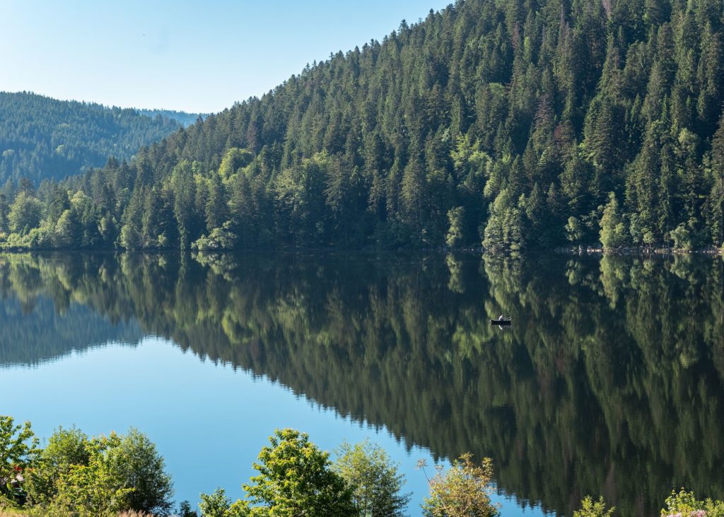 VOSGES l'appel de la forêt - Gerardmer info