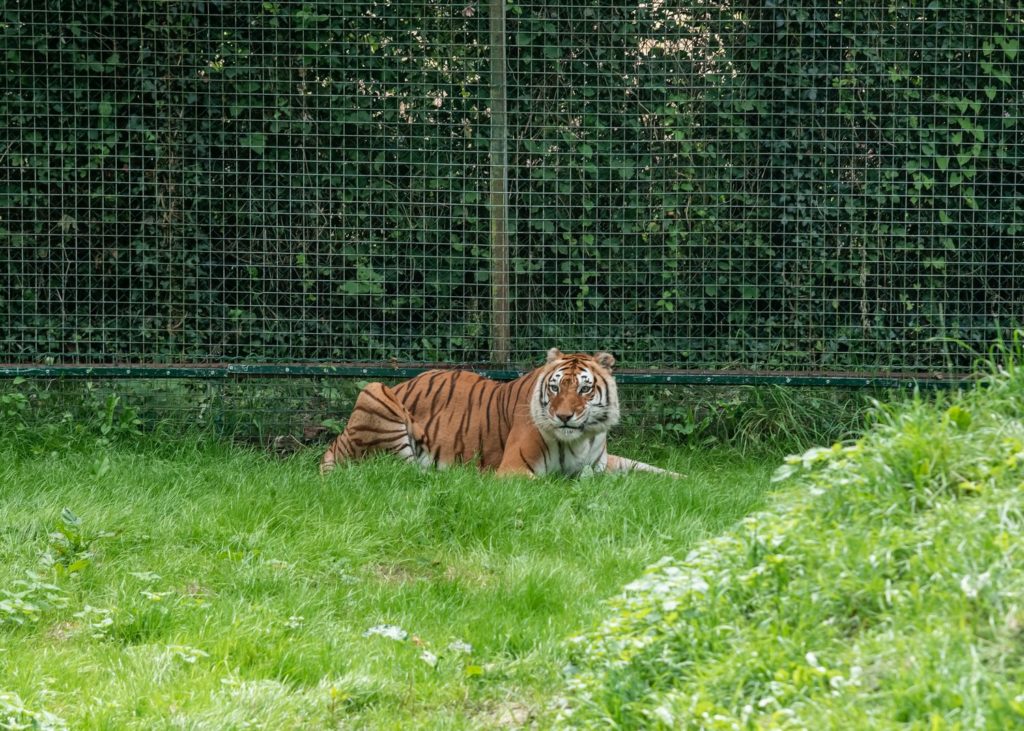 blog mayenne que voir en mayenne refuge de l arche