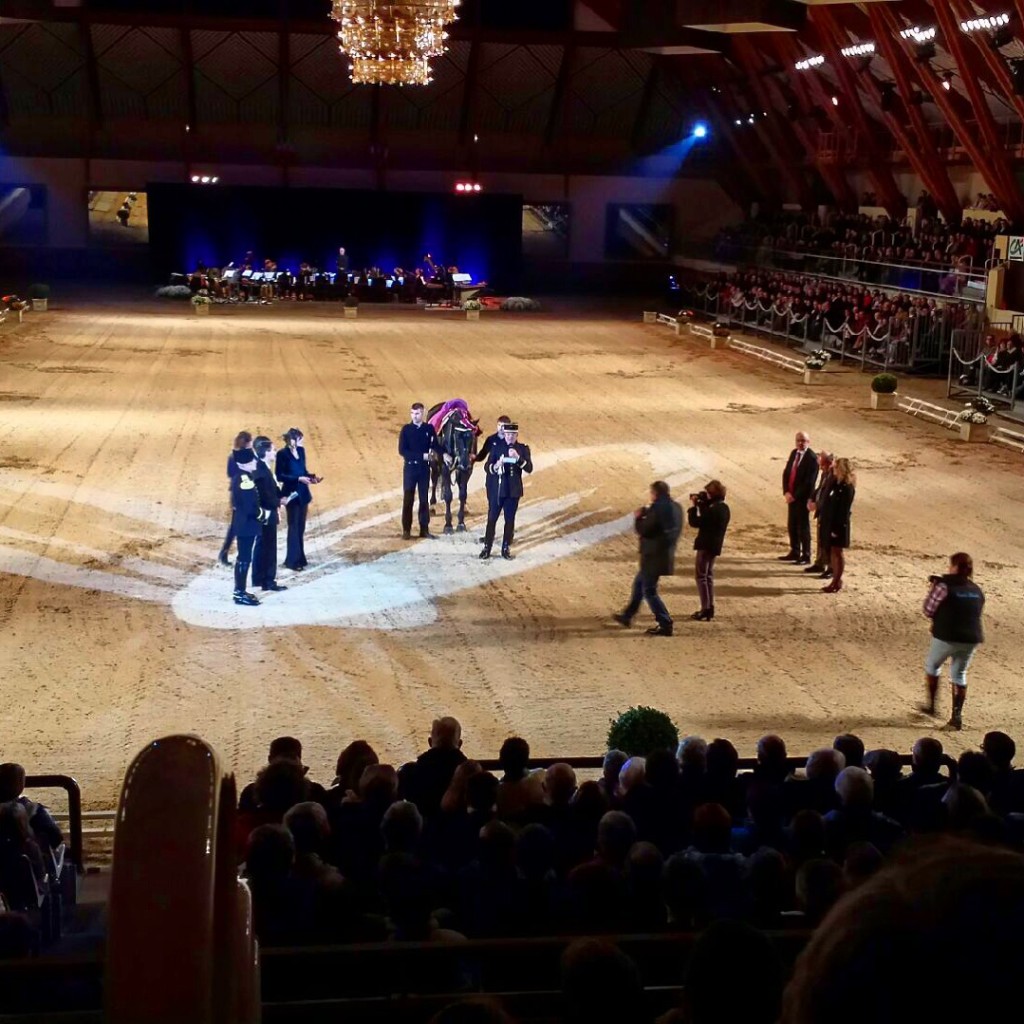 Remise du prix Pégase, au Cadre Noir de Saumur. Elle fut suivie d'un spectacle enchanteur, mais que je n'ai malheureusement pas pu photographier.