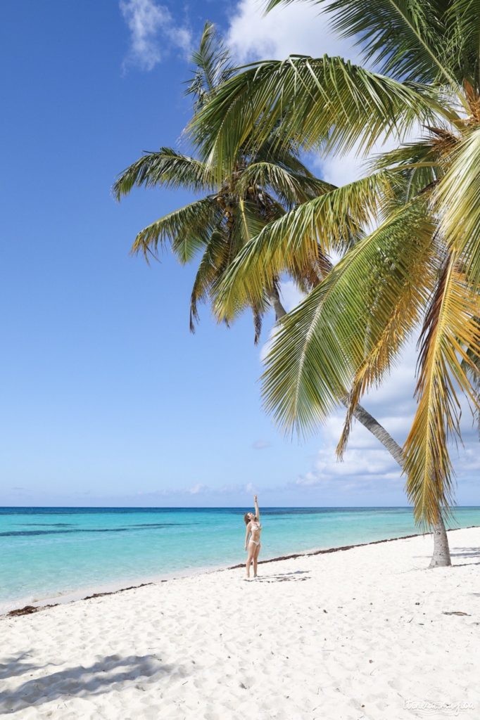 Road trip en République dominicaine : que voir et que faire en République dominicaine ?