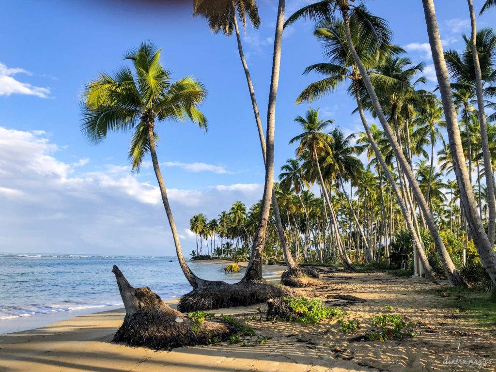 Road trip en République dominicaine : que voir et que faire en République dominicaine ?