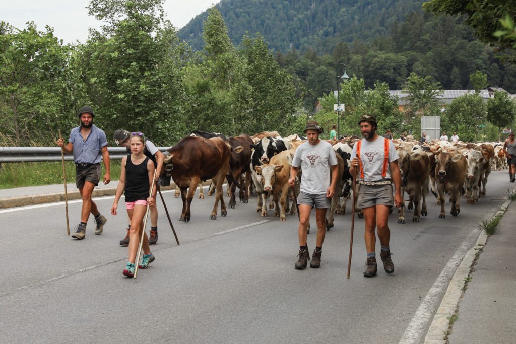 road trip en Autriche