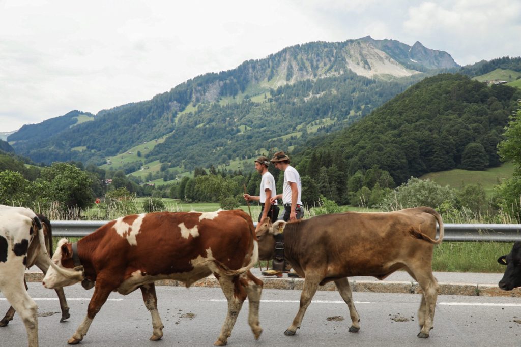 road trip en autriche