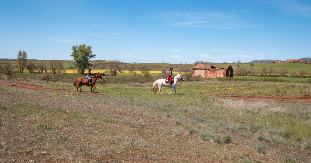 Tourisme équestre sud de l'Aveyron randonnée à cheval Aveyron