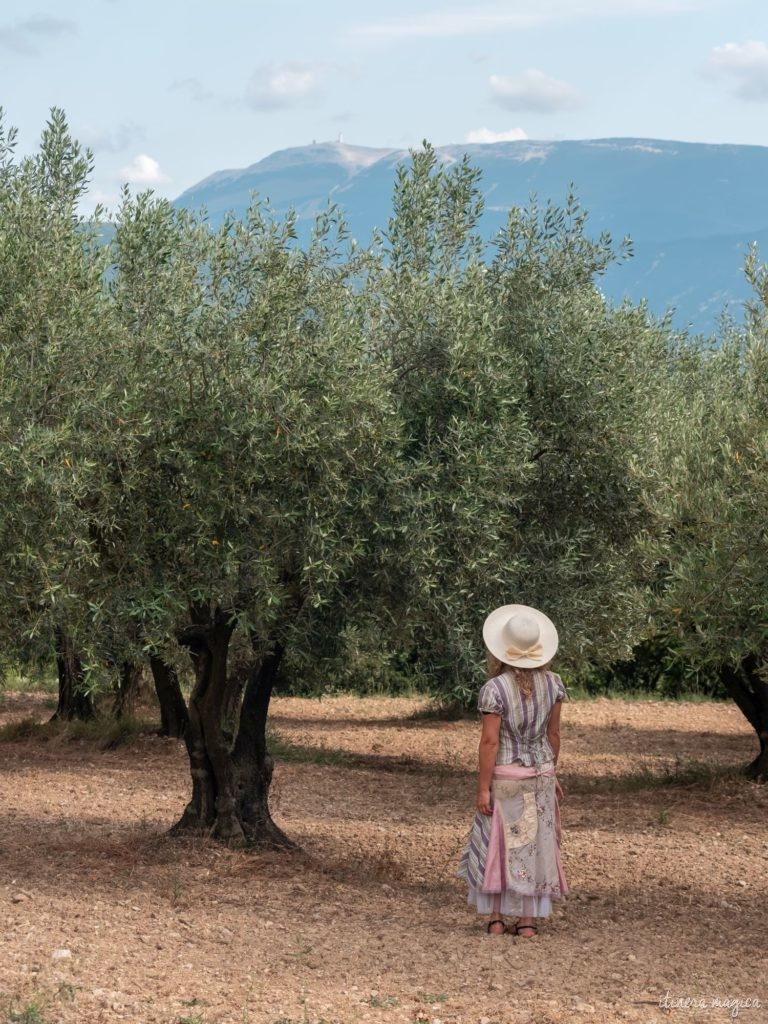 Die Ölbaum-Route in der Provence: entdecken Sie eine geheime, untouristische Provence, im Herzen des Naturparks der Baronnies provençales.