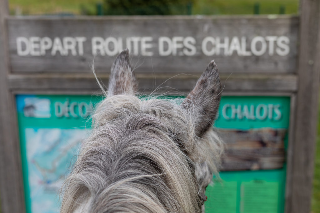 route des chalots dans les vosges itineraire gourmand à cheval