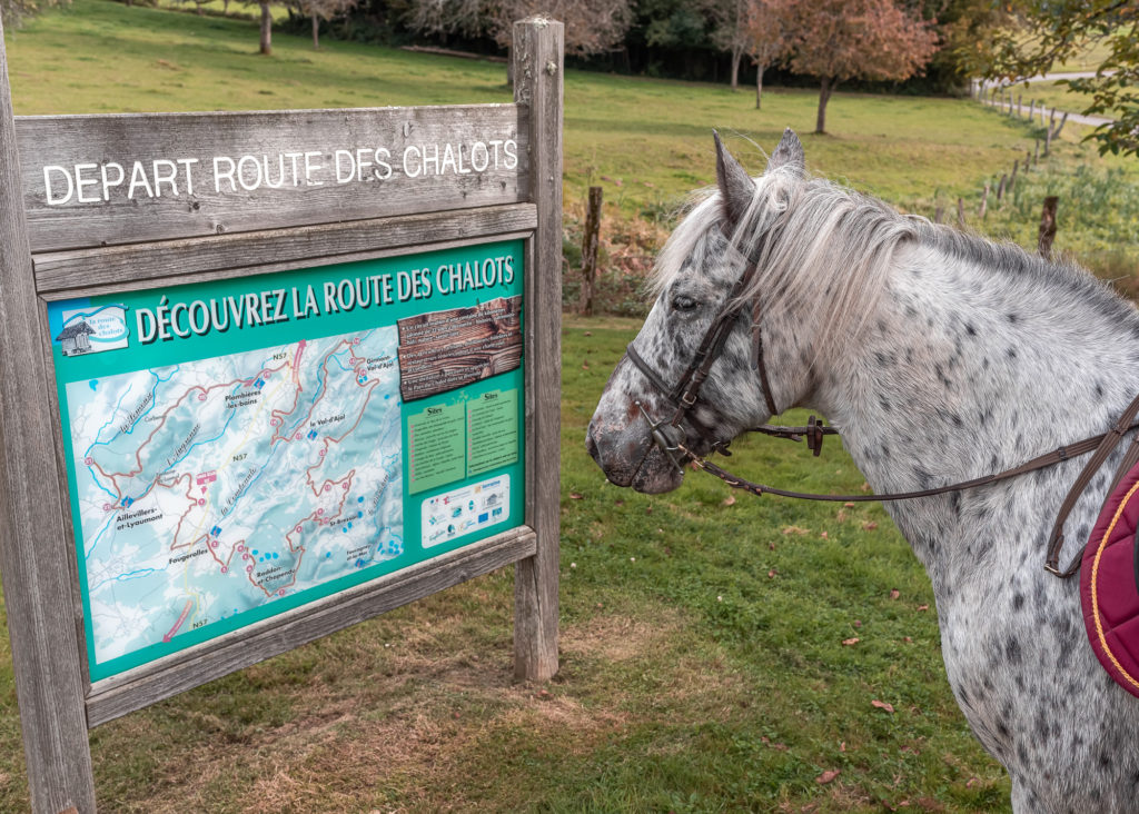 route des chalots dans les vosges itineraire gourmand à cheval