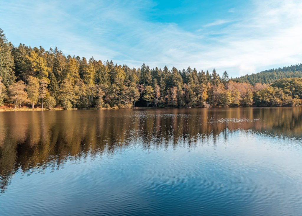 cascade gehard etang villerain vosges