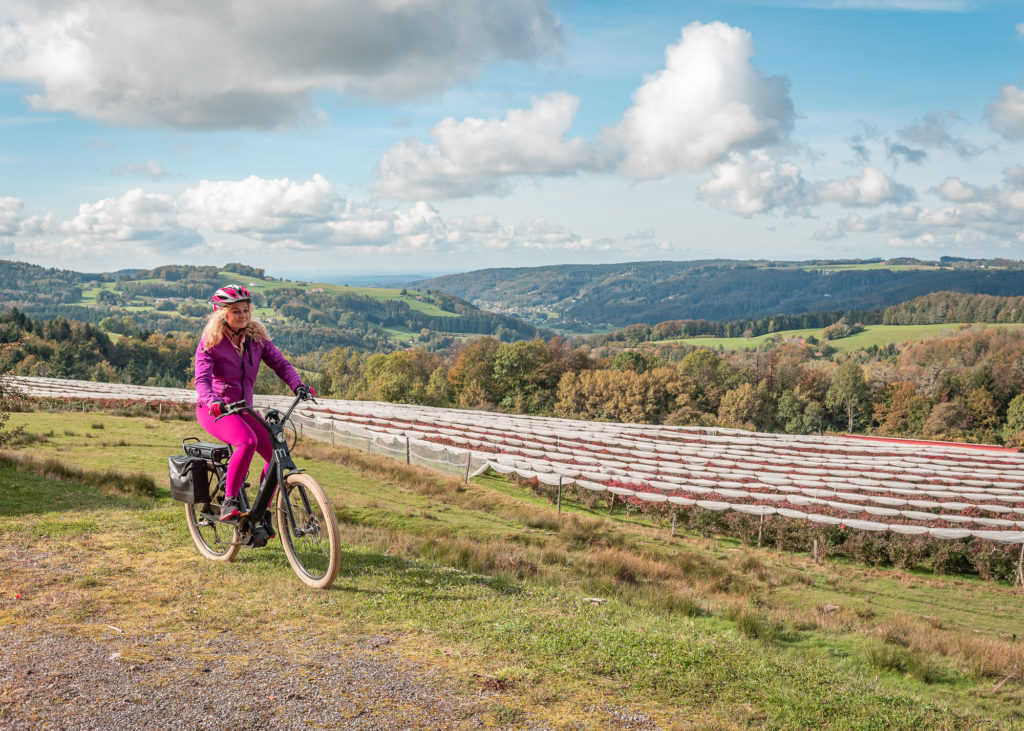 route des chalots vosges itineraire gourmand bonnes adresses producteurs