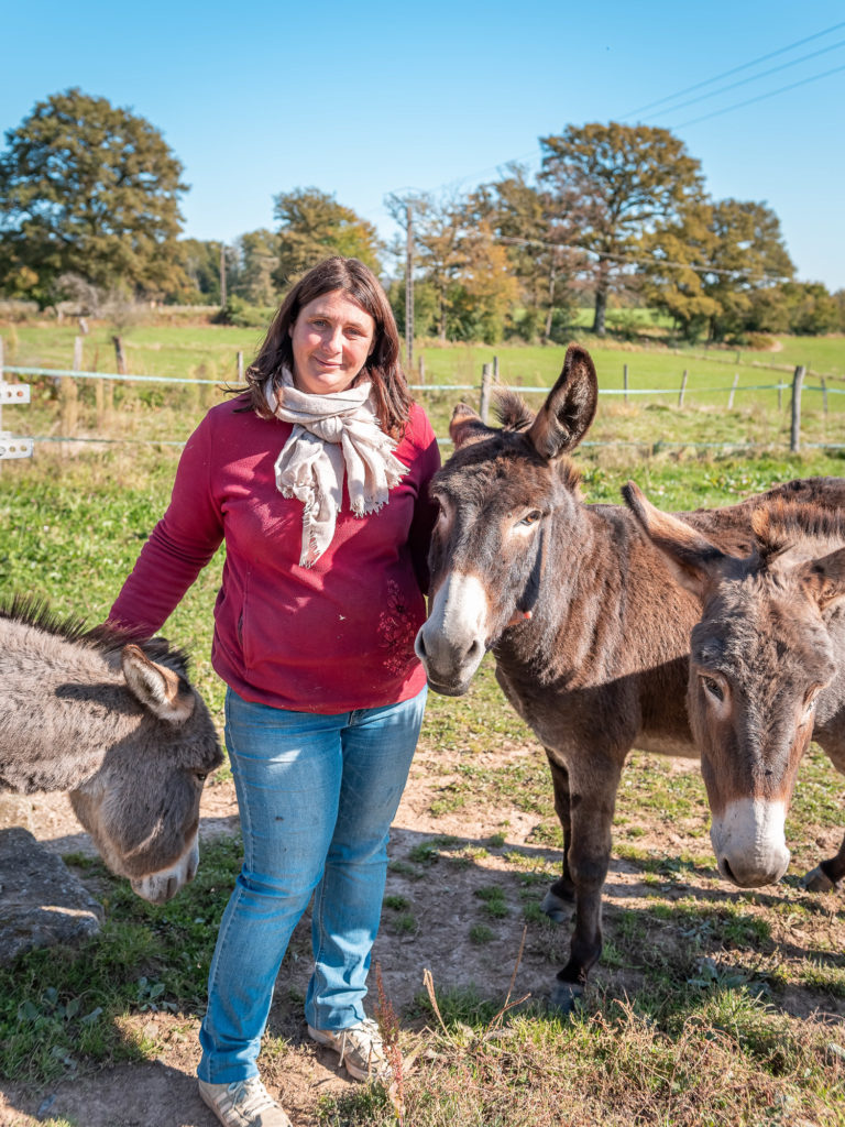 route des chalots dans les vosges itineraire gourmand à cheval