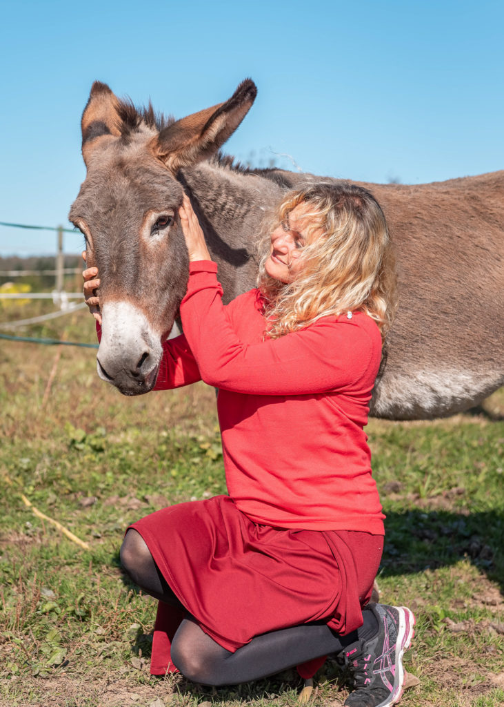 route des chalots dans les vosges itineraire gourmand à cheval