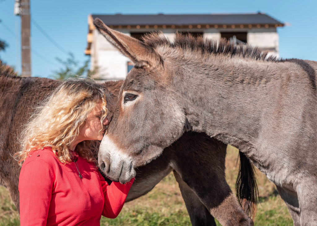 route des chalots dans les vosges itineraire gourmand à cheval