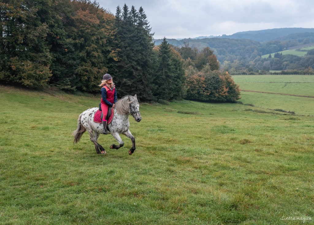 La route des Chalots dans les Vosges, itinéraire gourmand à cheval et à vélo