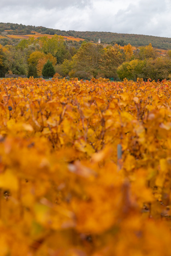 automne en bourgogne