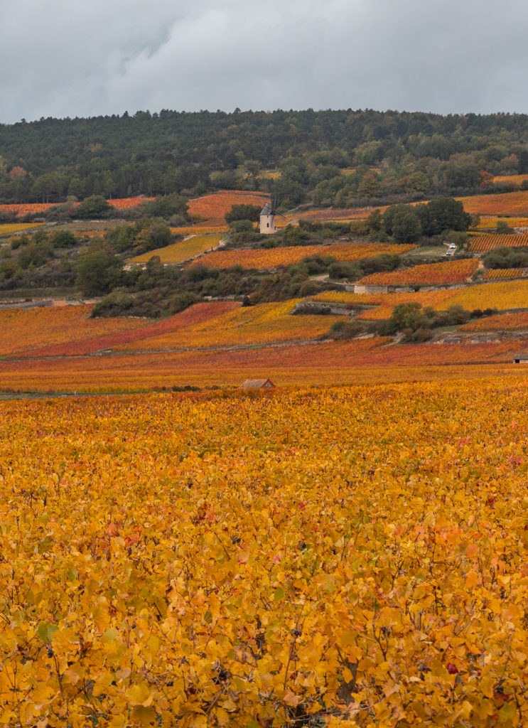 automne en bourgogne