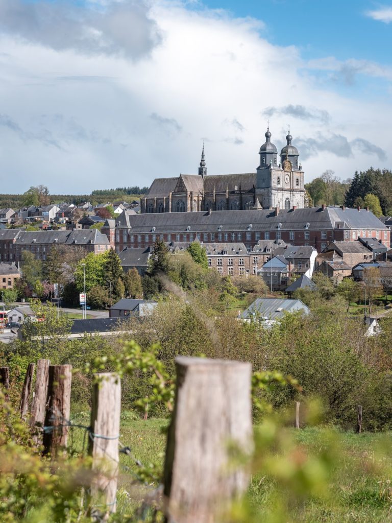 Que faire en Ardenne belge ? Randonnées à pied, à cheval et en VTT dans la grande forêt de Saint Hubert, visites et idées pour s'oxygéner.