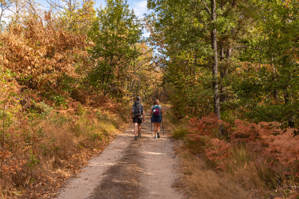 Sur les chemins de Saint Jacques dans le Lot : GR65, variante du Célé, variante de Rocamadour. 