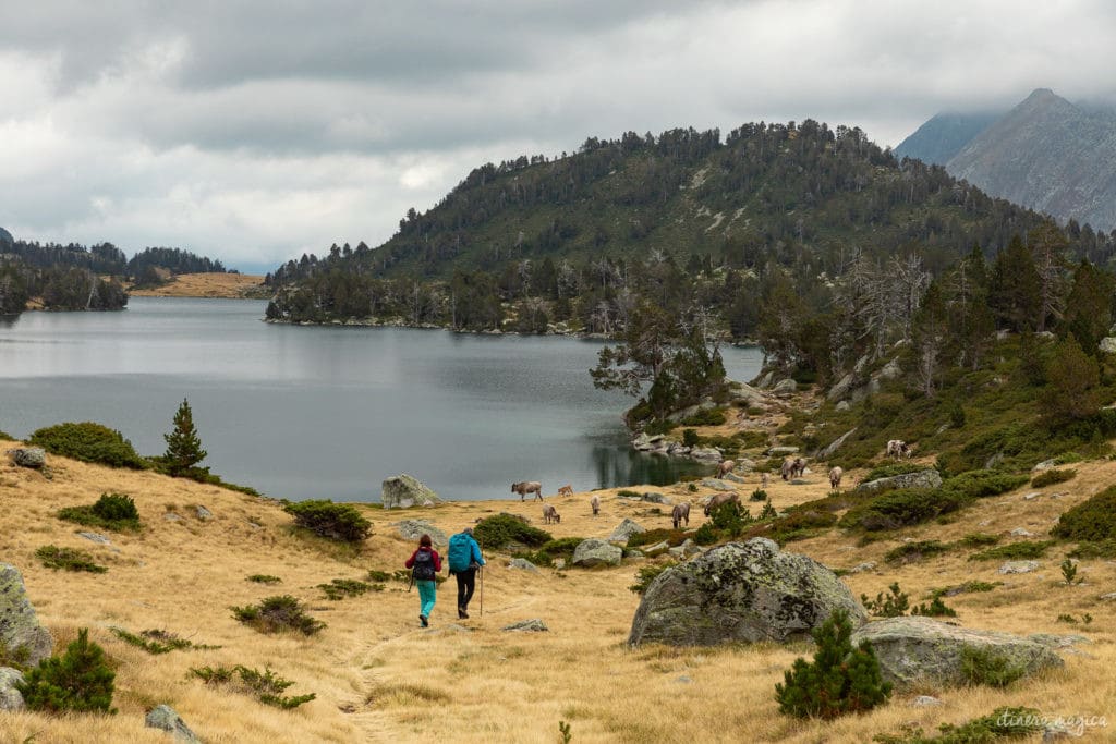 Que faire à Saint Lary Soulan ? Randonnées, sports outdoor, bonnes adresses, hébergements, restos au coeur des Pyrénées.