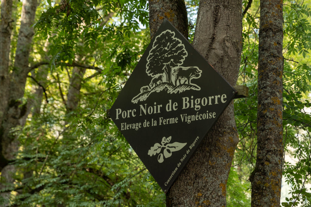 porc noir de bigorre saint lary