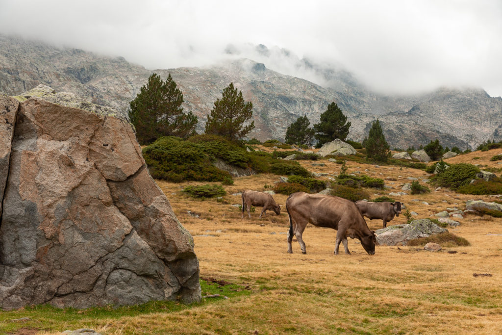 La réserve de Néouvielle : randonnées à Saint Lary Soulan