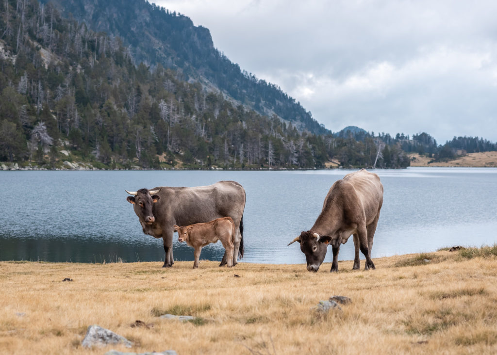 La réserve de Néouvielle : randonnées à Saint Lary Soulan