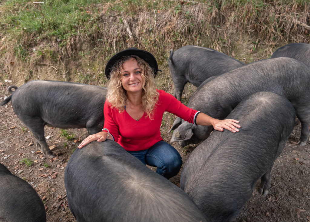 porc noir de bigorre saint lary