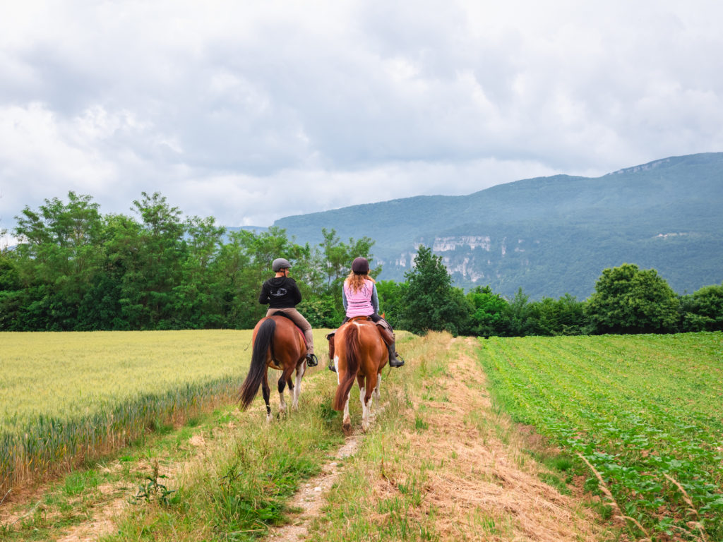 A cheval à Saint Marcellin Vercors Isère : chemins de Mandrin, randonnées équestres et aventures équines. 