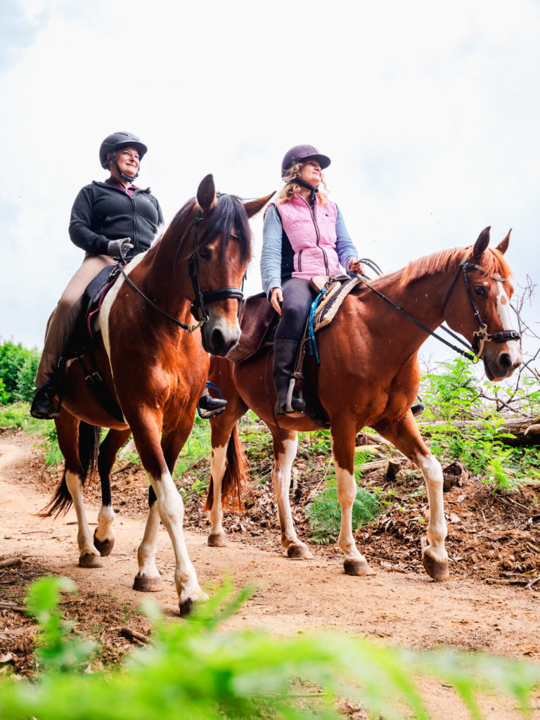 A cheval à Saint Marcellin Vercors Isère : chemins de Mandrin, randonnées équestres et aventures équines. 