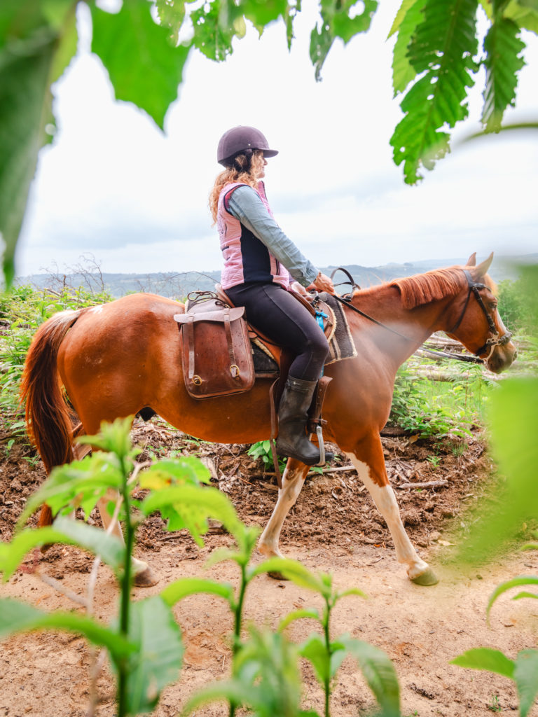 A cheval à Saint Marcellin Vercors Isère : chemins de Mandrin, randonnées équestres et aventures équines. 