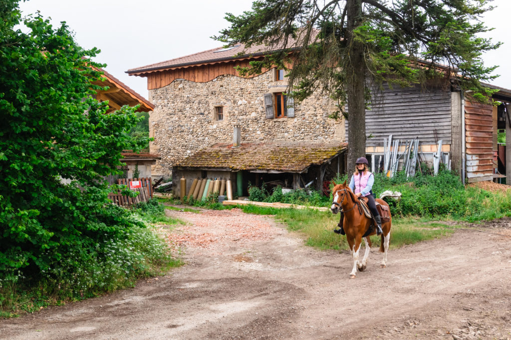 A cheval à Saint Marcellin Vercors Isère : chemins de Mandrin, randonnées équestres et aventures équines. 