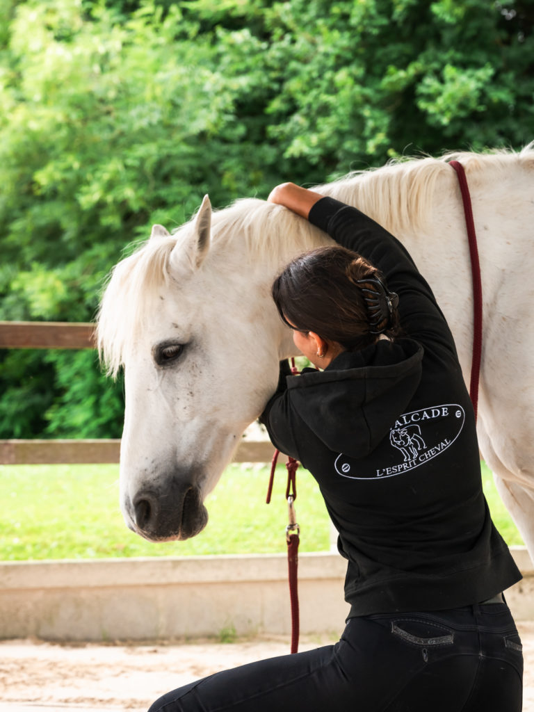 la cavalcade saint marcellin vercors isere aventures à cheval rando équestre