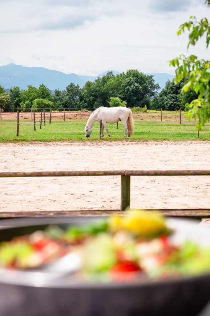 A cheval à Saint Marcellin Vercors Isère : chemins de Mandrin, randonnées équestres et aventures équines. 