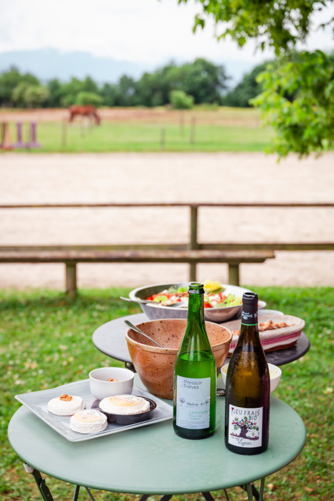 A cheval à Saint Marcellin Vercors Isère : chemins de Mandrin, randonnées équestres et aventures équines. 
