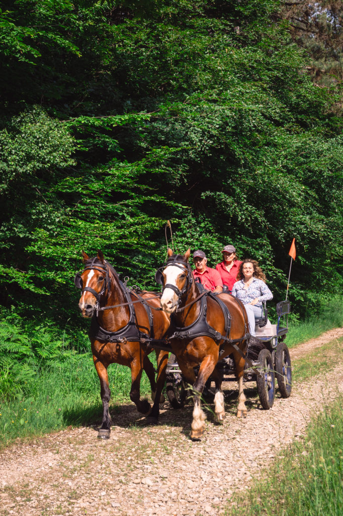 chemins de Mandrin à cheval saint marcellin vercors isère