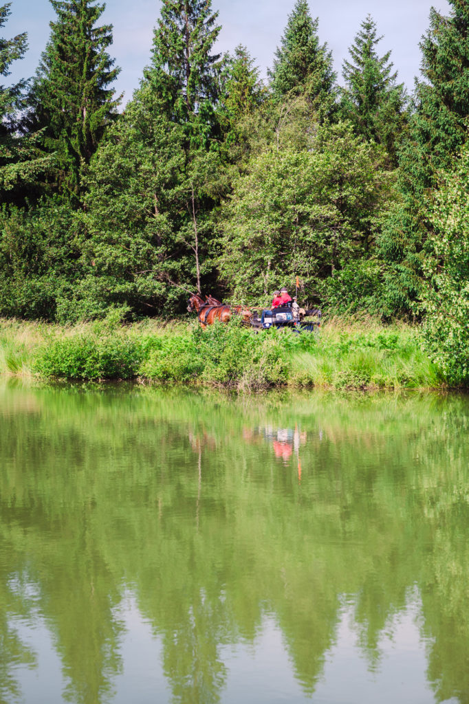 chemins de Mandrin à cheval saint marcellin vercors isère