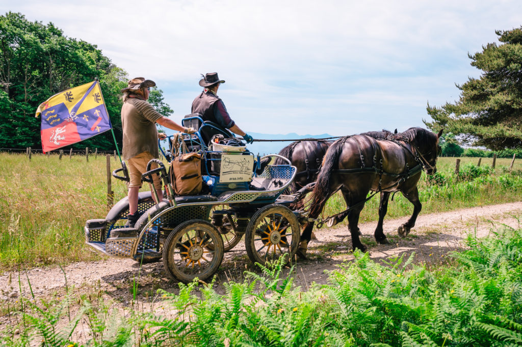 A cheval à Saint Marcellin Vercors Isère : chemins de Mandrin, randonnées équestres et aventures équines. 