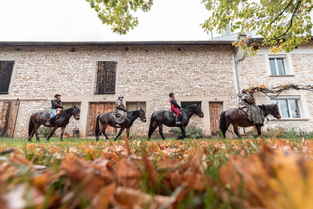 Que faire à Saint Marcellin Vercors Isère en automne ? Randonnée équestre