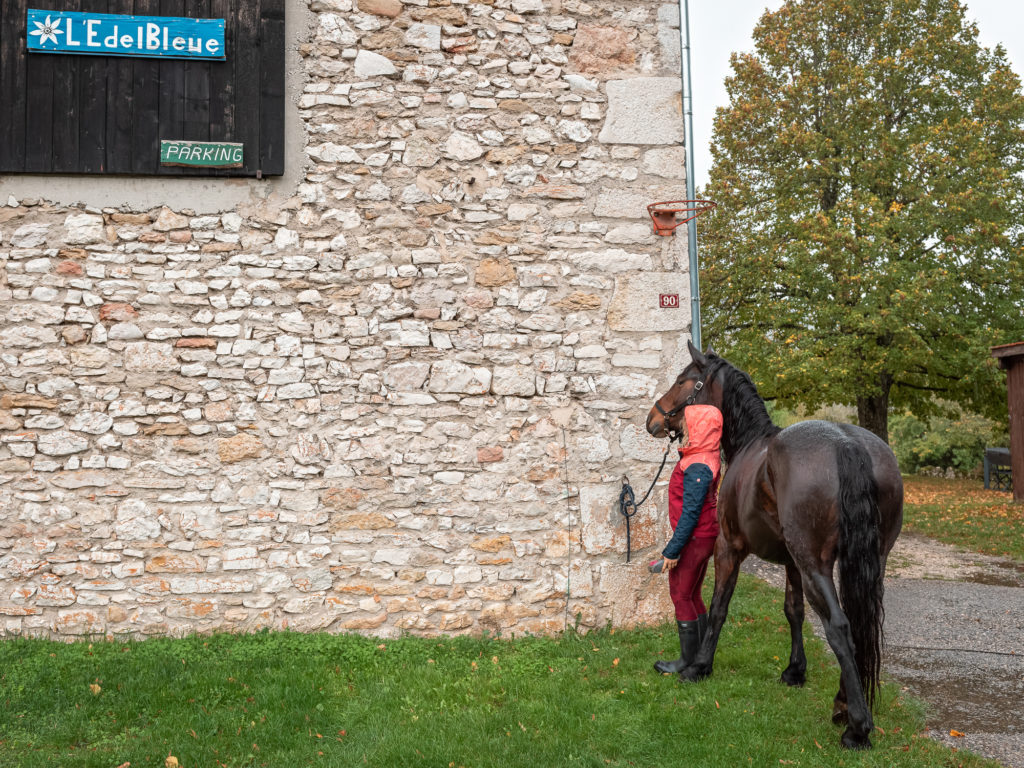 Que faire à Saint Marcellin Vercors Isère en automne ? Randonnée équestre