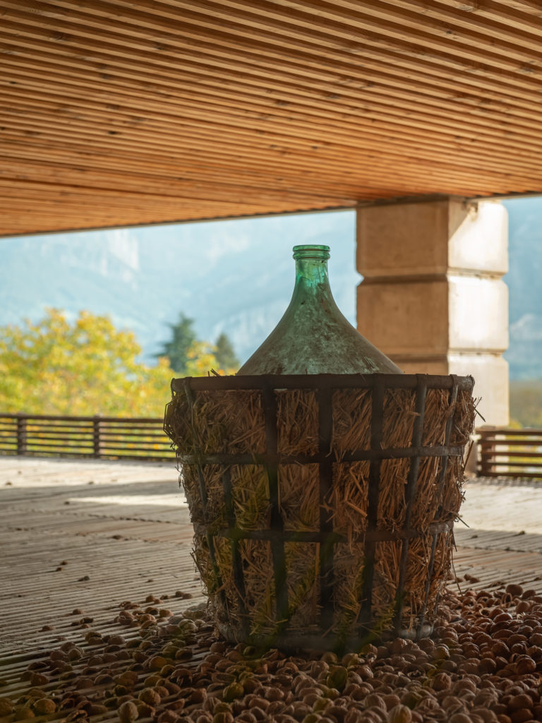 Que faire en automne à Saint Marcellin Vercors Isère ? Le temps des noix de Grenoble. Terroir et bonnes adresses