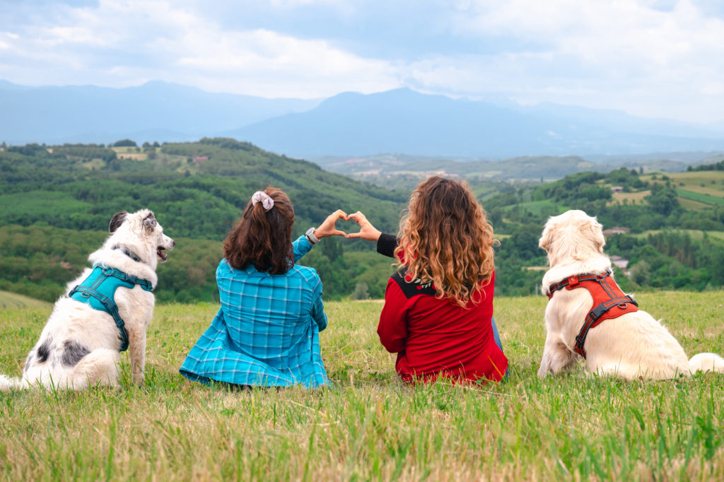 saint marcellin vercors isere 