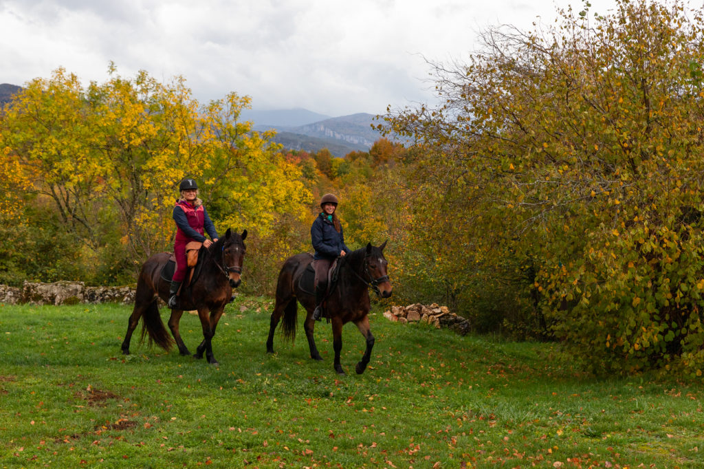 Que faire à Saint Marcellin Vercors Isère en automne ? Aventures outdoor, escalade, randonnée, cheval, récolte des noix, patrimoine, yoga et bonnes adresses...