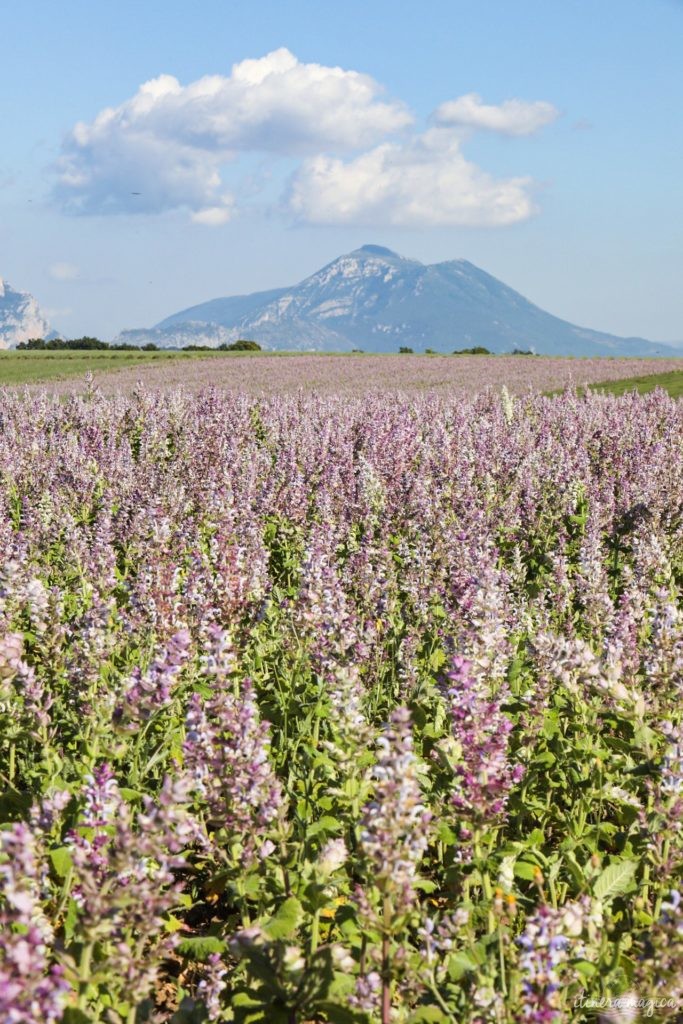 Must see in Provence: the best places to see in Provence, natural wonders of Provence