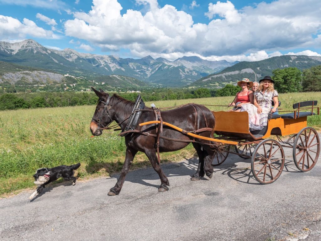 Que voir et que faire à Colmars-les-Alpes et Seyne-les-Alpes ? Explorer les montagnes des Alpes de Haute Provence